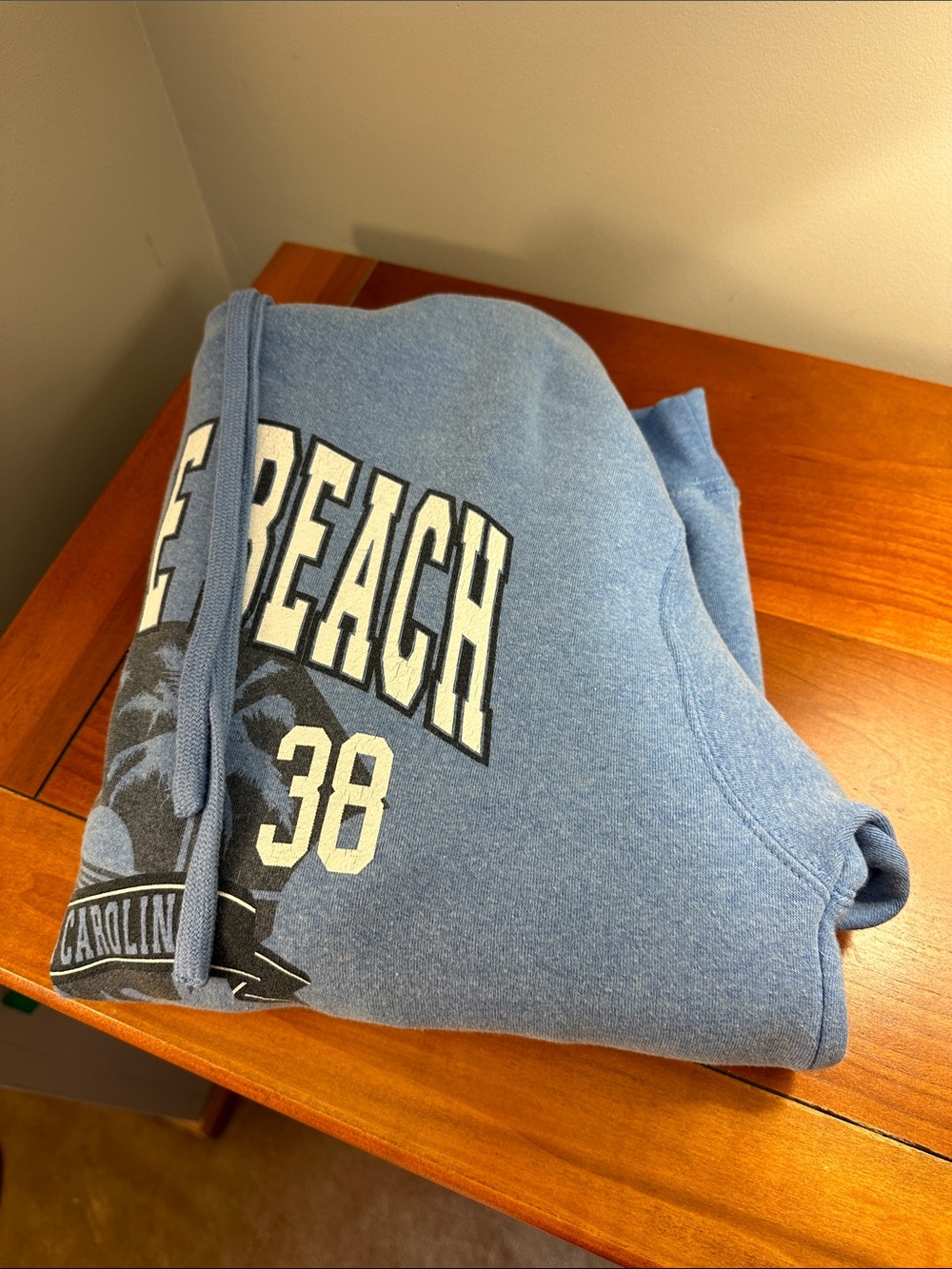 Myrtle Beach Graphic Hoodie - Light Blue - Picture 3 of 3